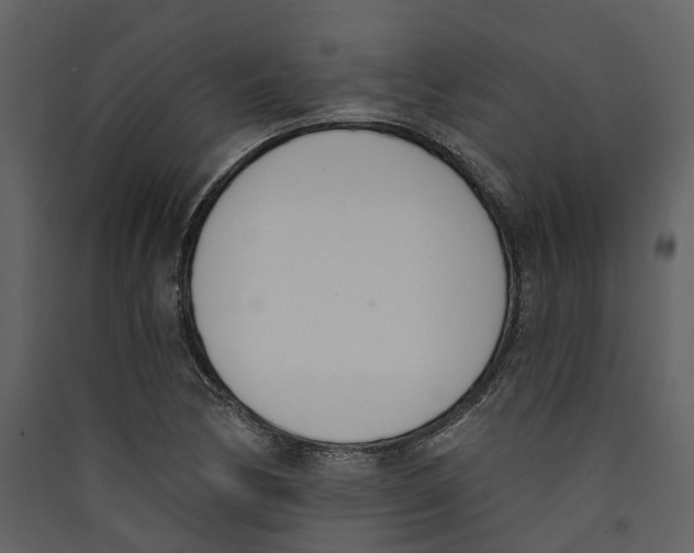 X0000089391170200707131713