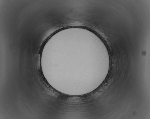 X0000089391171200707131713