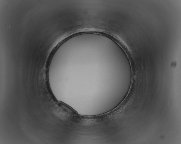 X0000089391173200707131713