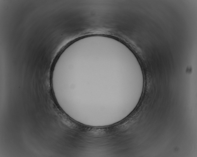 X0000089391174200707131713