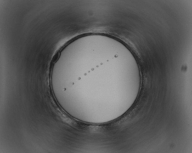 X0000089391176200707131713