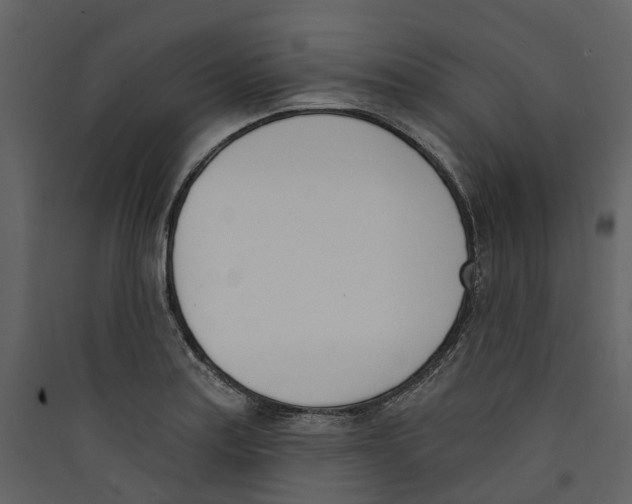 X0000089391179200707131713