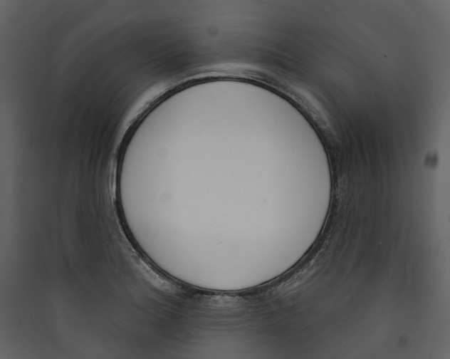 X0000089391180200707131713
