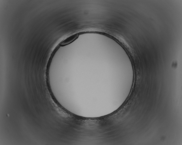 X0000089391181200707131713