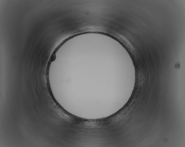 X0000089391182200707131713