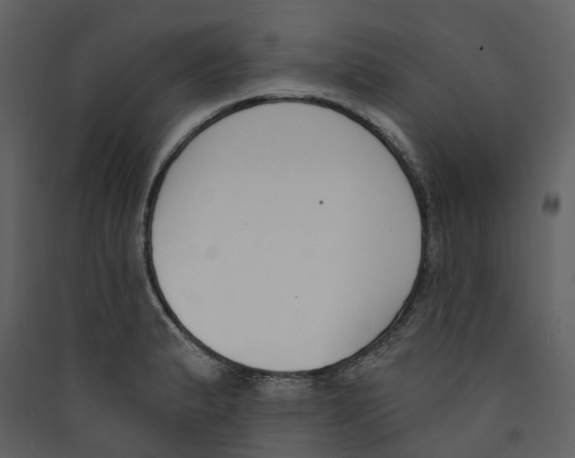 X0000089391183200707131713