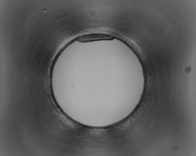 X0000089391184200707131713
