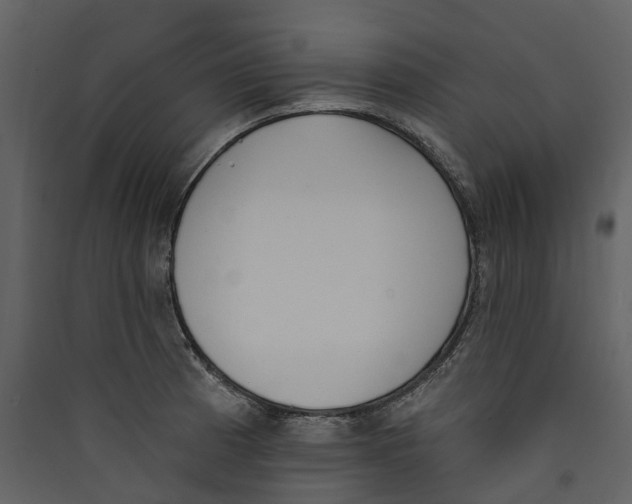 X0000089391185200707131713