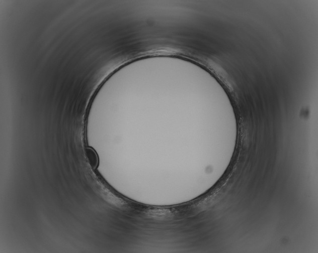 X0000089391186200707131713