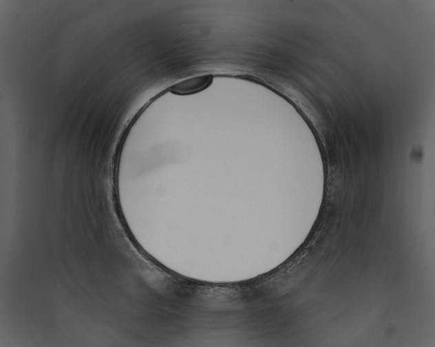X0000089391187200707131713