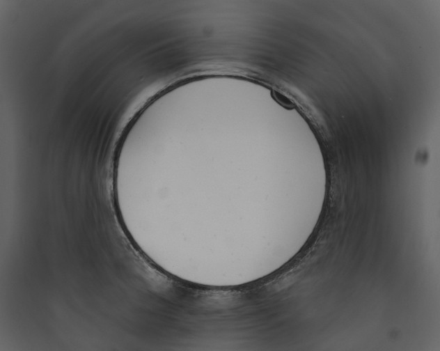 X0000089391188200707131713