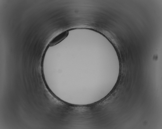 X0000089391189200707131713