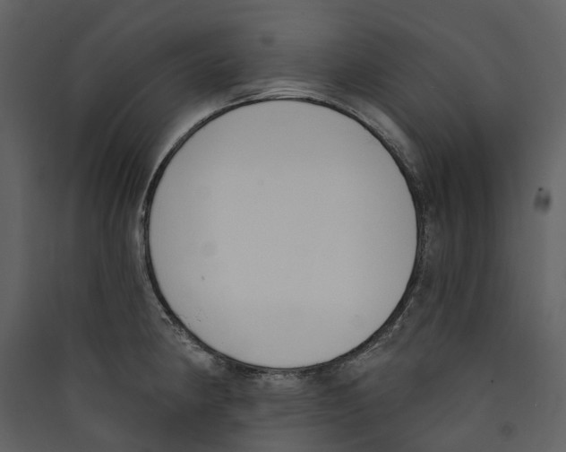 X0000089391190200707131713