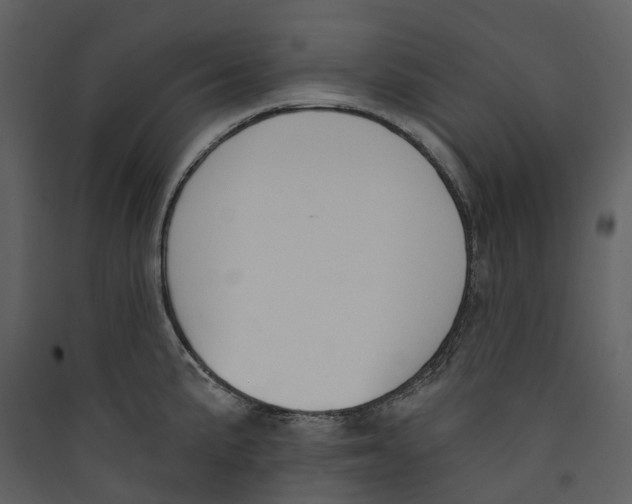 X0000089391191200707131713