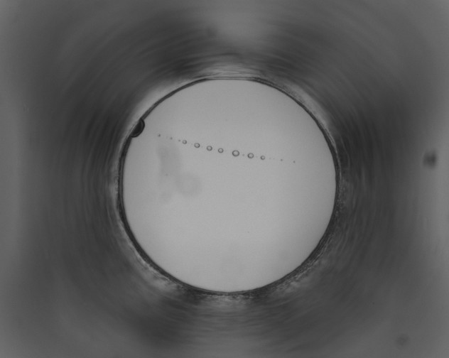 X0000089391195200707131713