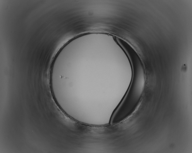 X0000089391196200707131713