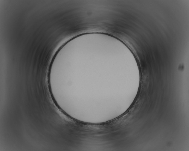 X0000089391197200707131713