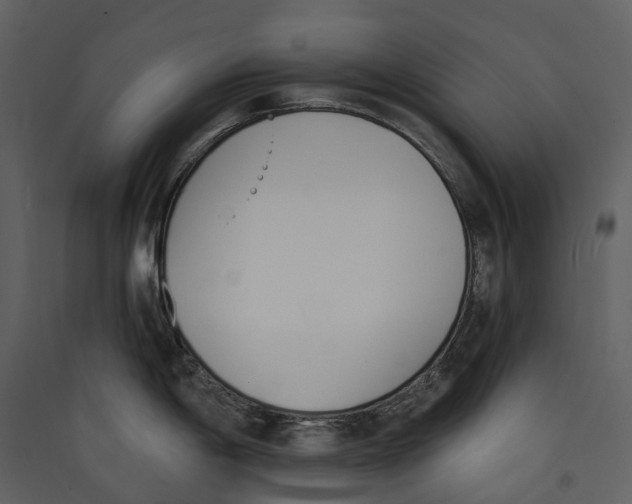 X0000089391198200707131713