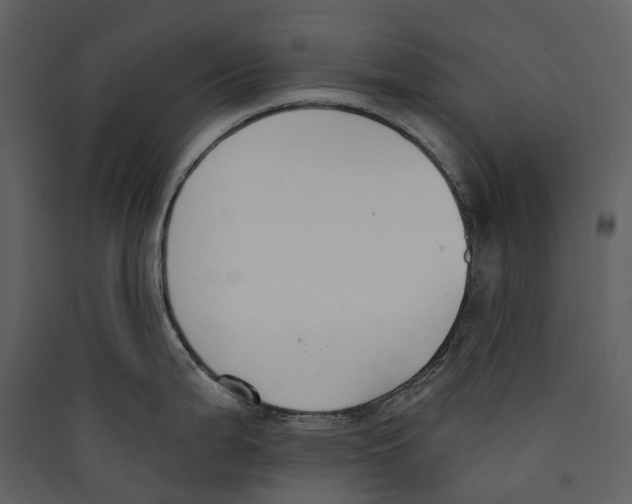 X0000089391199200707131713