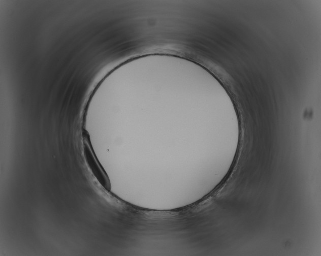 X0000089391200200707131713