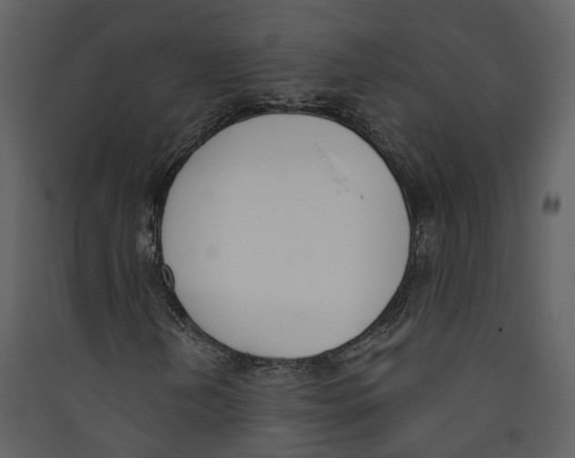 X0000089391202200707131712