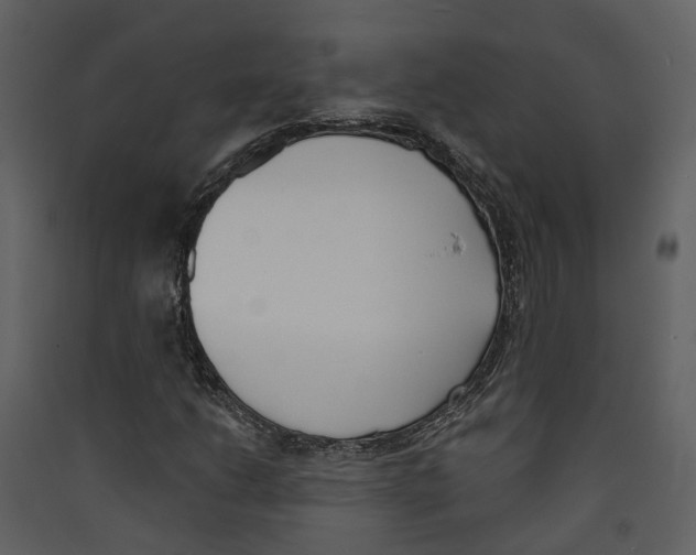 X0000089391206200707131712