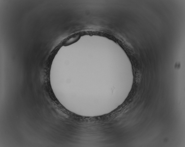 X0000089391208200707131712
