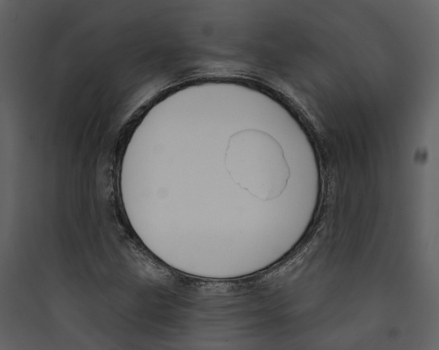 X0000089391211200707131712