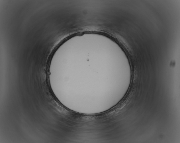 X0000089391212200707131712