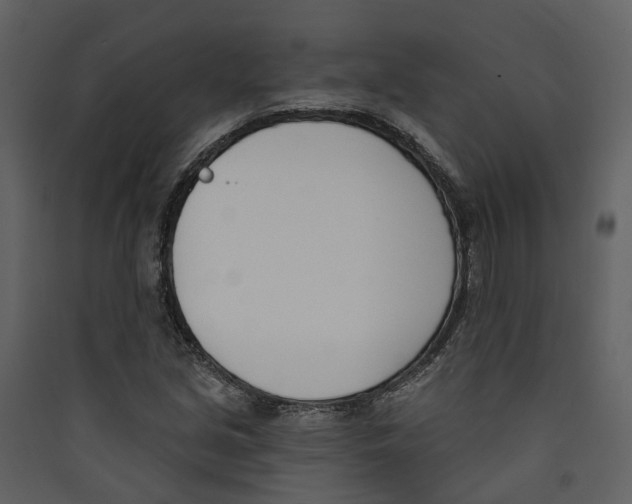 X0000089391213200707131712