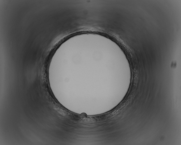 X0000089391215200707131712