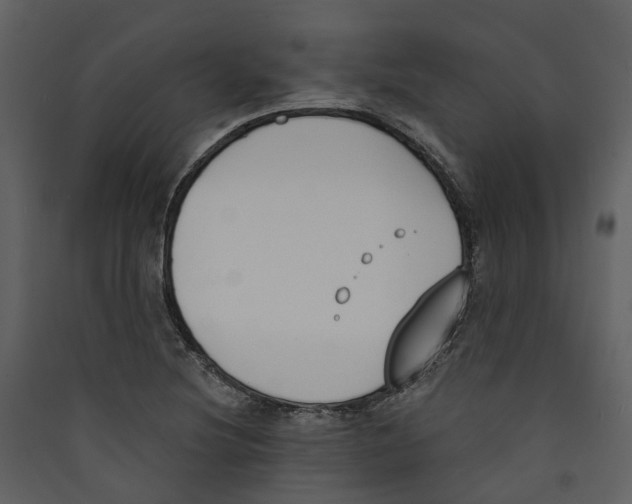X0000089391220200707131712