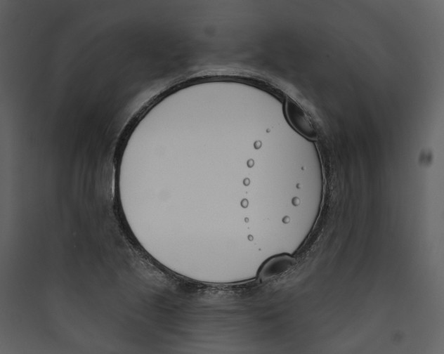X0000089391221200707131712