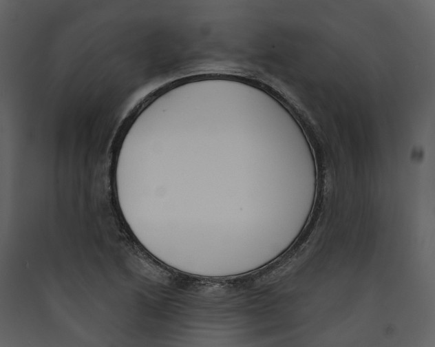 X0000089391222200707131712