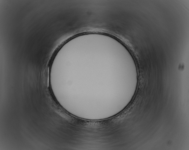 X0000089391223200707131712
