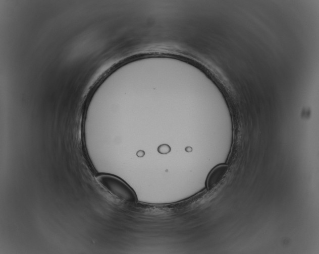 X0000089391224200707131712