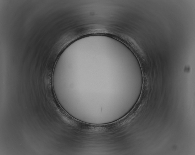 X0000089391225200707131712
