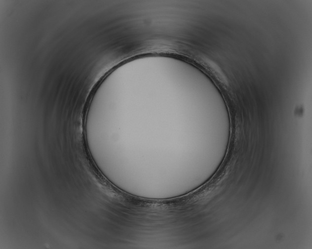 X0000089391226200707131712