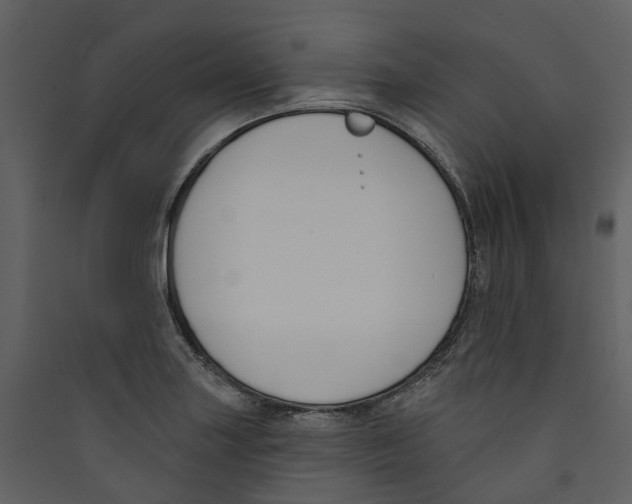 X0000089391227200707131712