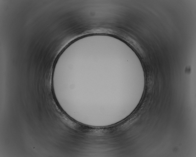 X0000089391228200707131712