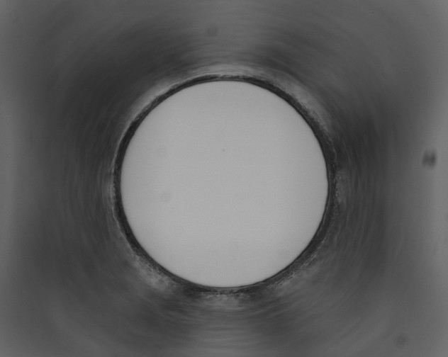 X0000089391229200707131712