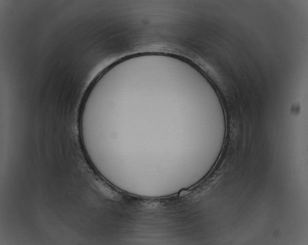 X0000089391230200707131712