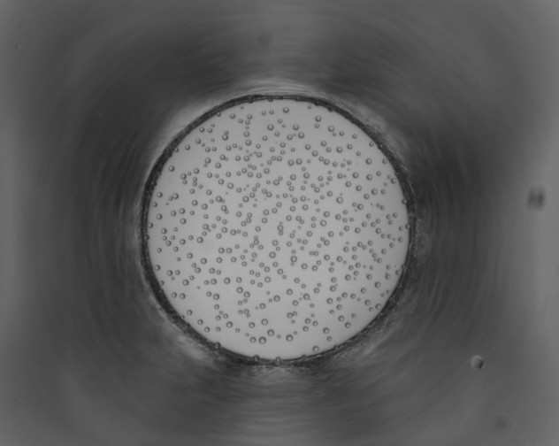 X0000089391231200707131712