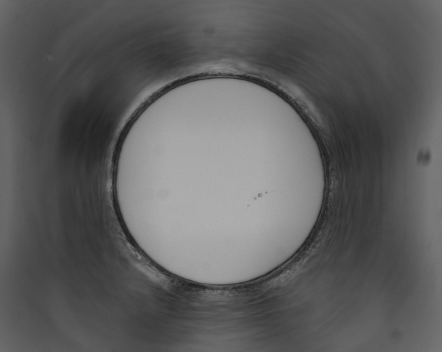 X0000089391232200707131712