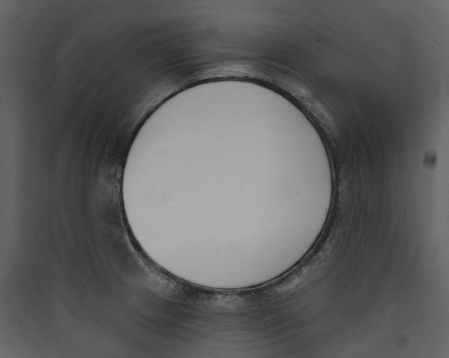 X0000089391233200707131712