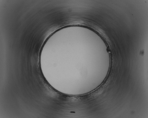X0000089391234200707131712