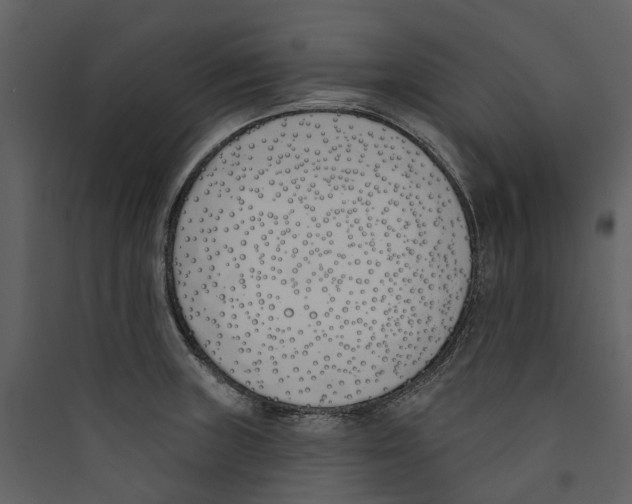 X0000089391235200707131712