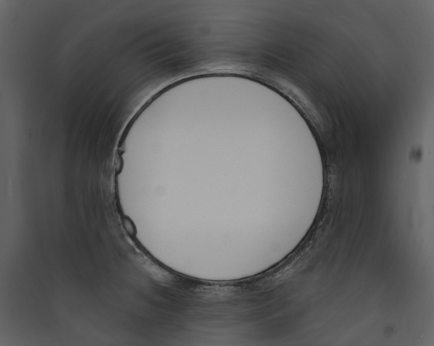 X0000089391236200707131712