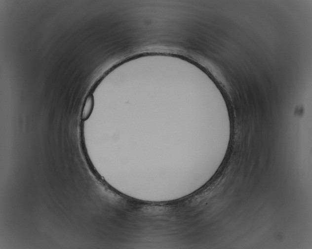 X0000089391237200707131712