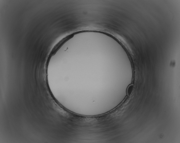 X0000089391238200707131712